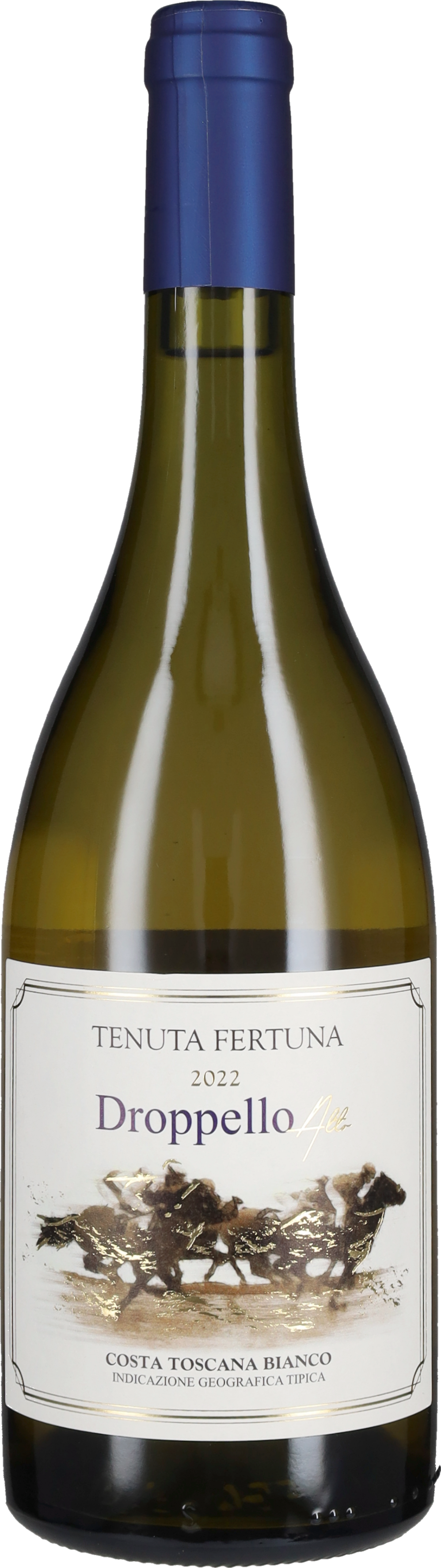 Droppello Alto' Tenuta Fertuna 2023