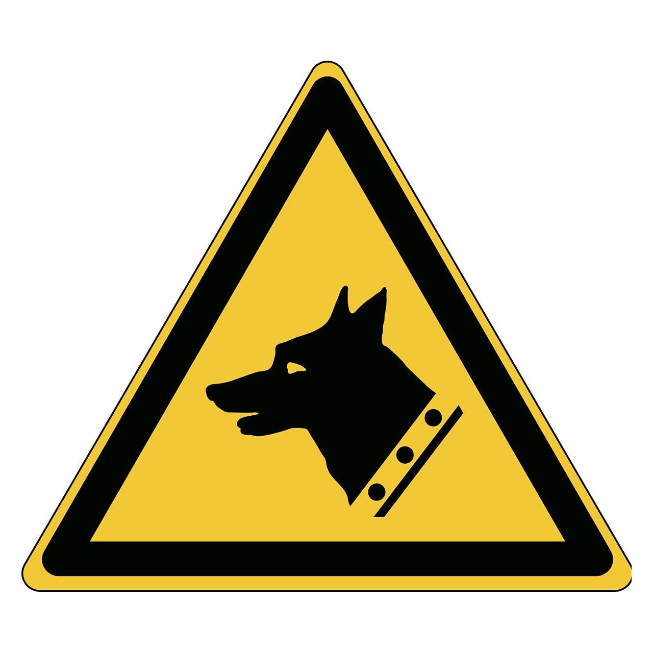 Brady ISO-Sicherheitsschild - Warnung vor Wachhund (PIC W013-TRI 315-PP-CRD/1)