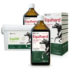 Lab-v Horse Care Box – Geschenkset für Pferde
