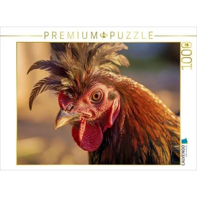 CALVENDO Puzzle Selten, sanft und ein echter Hingucker im Stall. | 1000 Teile Lege-Größe 64x48cm Foto-Puzzle für glückliche Stunden, von , Calvendo