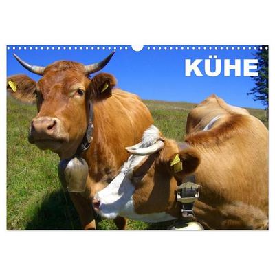 Kühe / Geburtstagskalender (Wandkalender 2027 DIN A3 quer), CALVENDO Monatskalender
