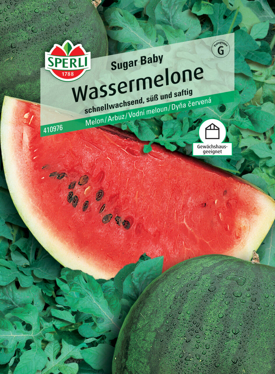 Sperli Wassermelone Sugar Baby