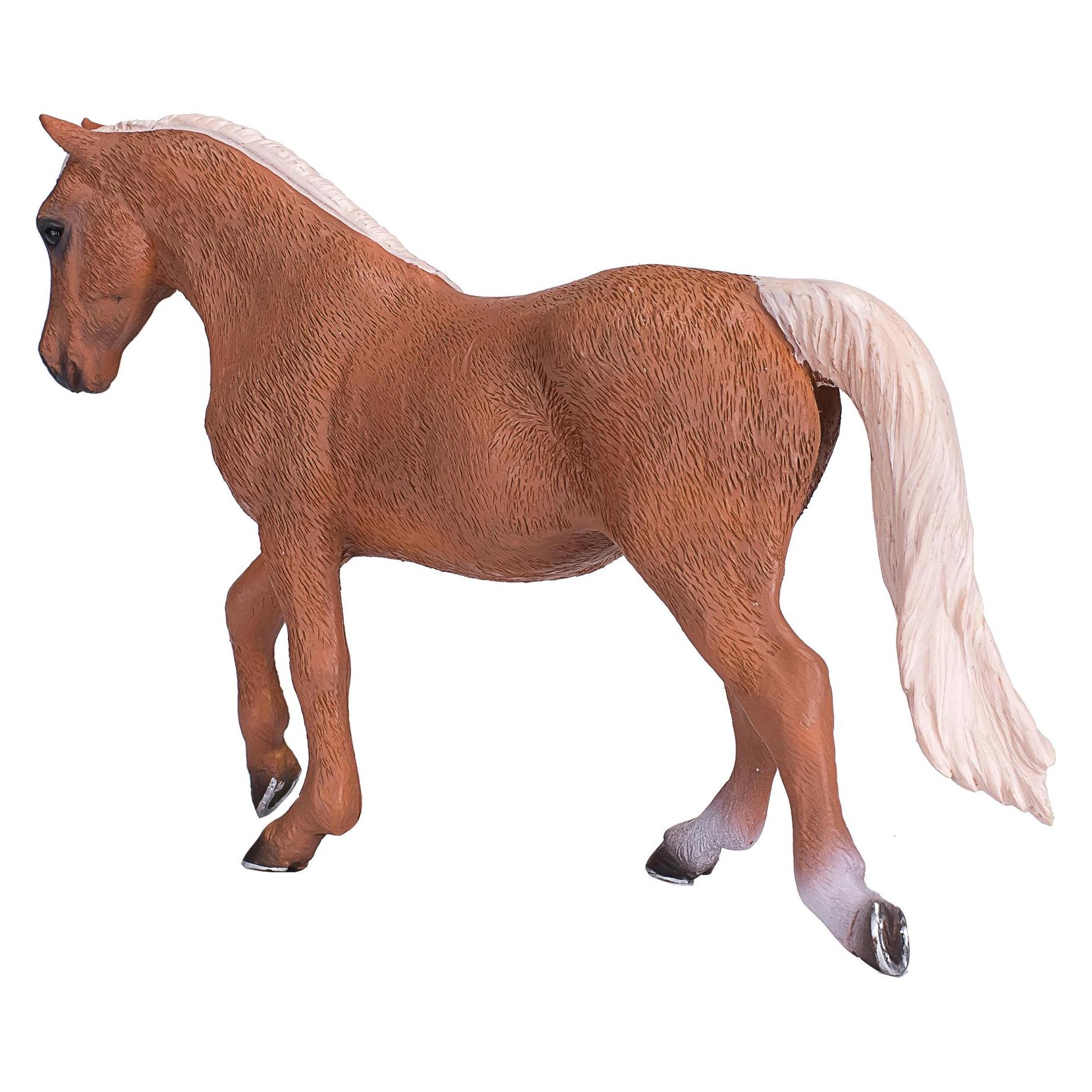 small foot Morgan Stallion Palomino (387395)