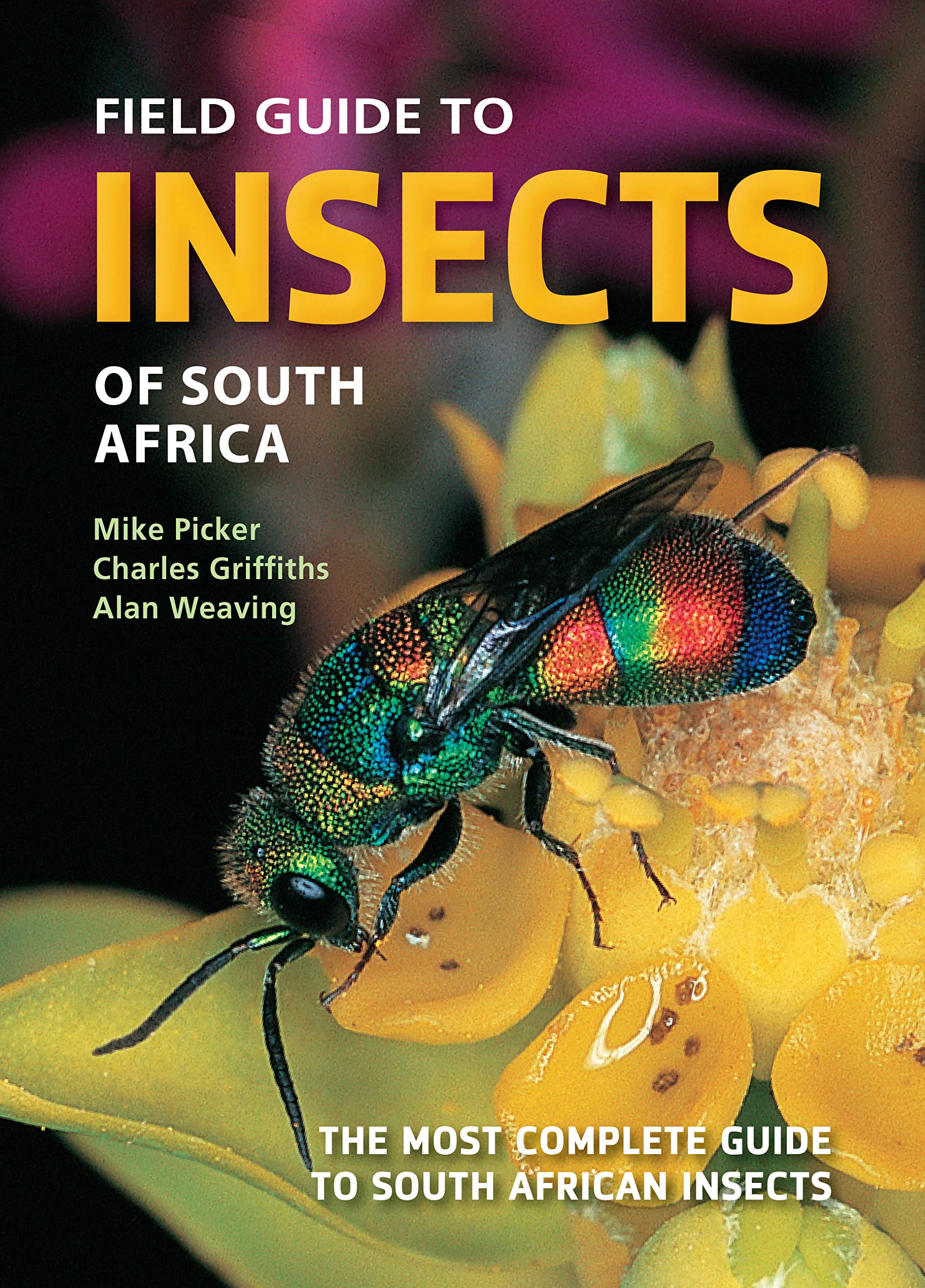 Mike Picker - Field Guide to Insects of South Africa: The Most Complete Guide to South African Insects (Struik Nature Field Guides) - Preis vom 30.09.2026 09:01:18 h