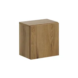 SCHRANK 1 Tür Holz