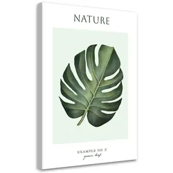 WANDBILD grünes blatt natur