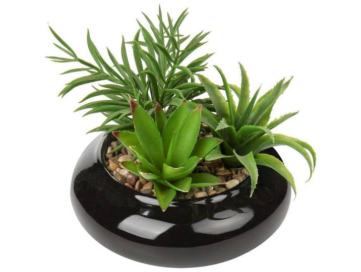 Kunstpflanze Sukkulenten Arrangement im Keramiktopf 18 cm Schwarz, 18 cm, Dekoration, Blumen & Blumentöpfe, Kunstpflanzen