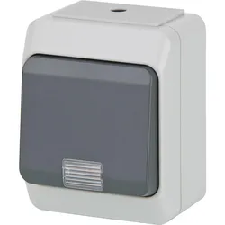 AP-Wechselschalter Nortic IP 44 mit Kontrolllampe Pollmann