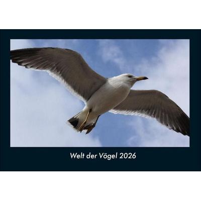 Welt der Vögel 2026 Fotokalender DIN A4