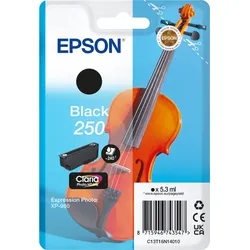 Epson Tinte C13T16N14010 250 schwarz