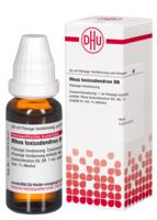 RHUS TOXICODENDRON D 6 Dilution 20 ml