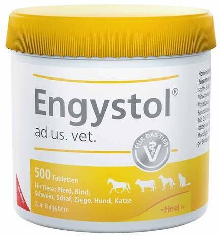 Heel Engystol ad us. vet. Tabletten 500 Stück