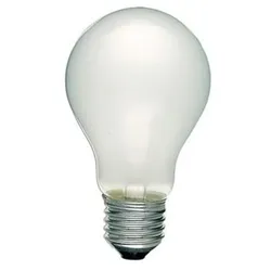 Scharnberger+Hasenbein Glühlampe B60x105mm 40710