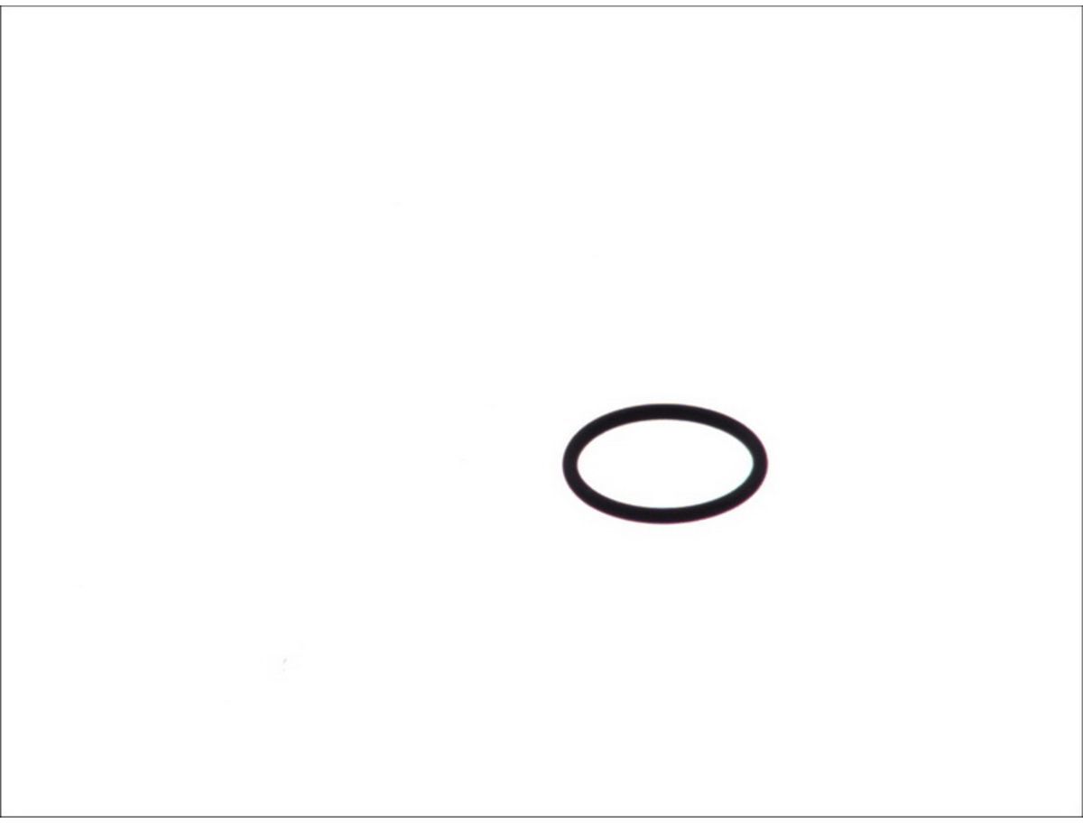 Gummiring BOSCH F 00V D38 010