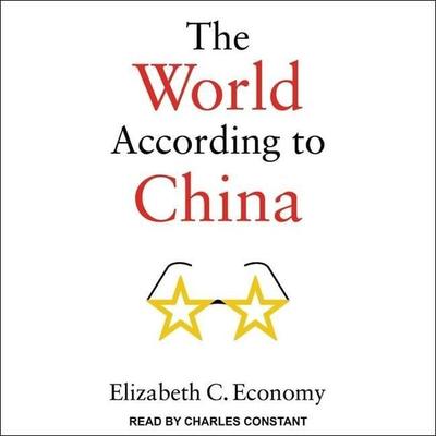 The World According to China - Elizabeth C. Economy, CD, 9798212295017