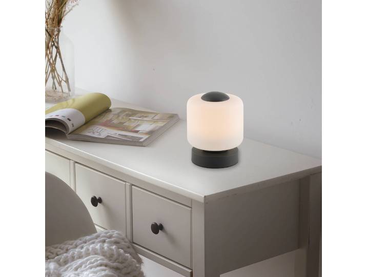 Paul Neuhaus LED Tischlampe Bota, dimmbar, schwarz, für Wohn- / Esszimmer, Metall, Modern