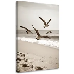 LEINWANDBILD Möwen Vögel Meer Strand Natur 80x120cm