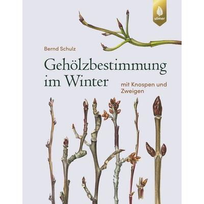 Gehölzbestimmung im Winter, Gebundene Ausgabe von Bernd Schulz, Verlag Eugen Ulmer, 978-3-8186-1138-5