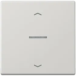 Jung Taster 1fach BT LS 17101 P LG