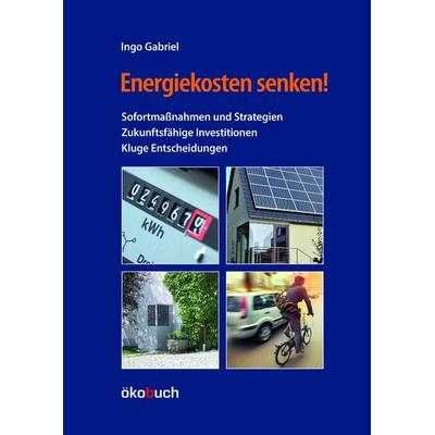Energiekosten senken!, Gebundene Ausgabe von Ingo Gabriel, Ökobuch Verlag, 978-3-947021-36-9