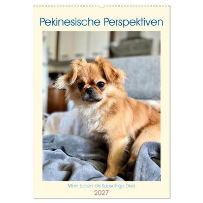 Pekinesische Perspektiven - Mein Leben als flauschige Diva (Wandkalender 2027 DIN A2 hoch), CALVENDO Monatskalender