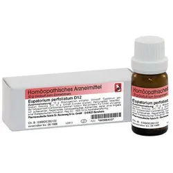 Eupatorium Perfoliatum D12 10 G