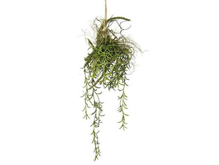 Künstliche Tillandsia Hängepflanze auf Ast ca. 72 x 20 x 18 cm – Dekopflanze zum Aufhängen – künstliche Grünpflanze mit langen Ranken – pflegeleichte Pflanzendeko für Wohnraum, Büro & Dekoration