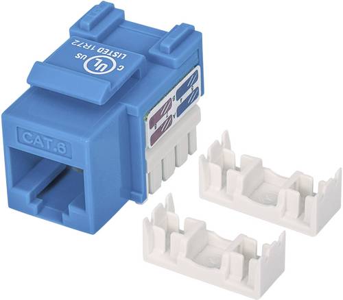 Intellinet 210737 RJ45-Einbaumodul Keystone CAT 6 1St.