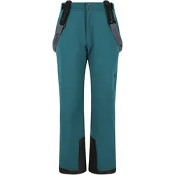 Whistler Gippslang Functional Skihose Herren 2043 - reflecting pond M