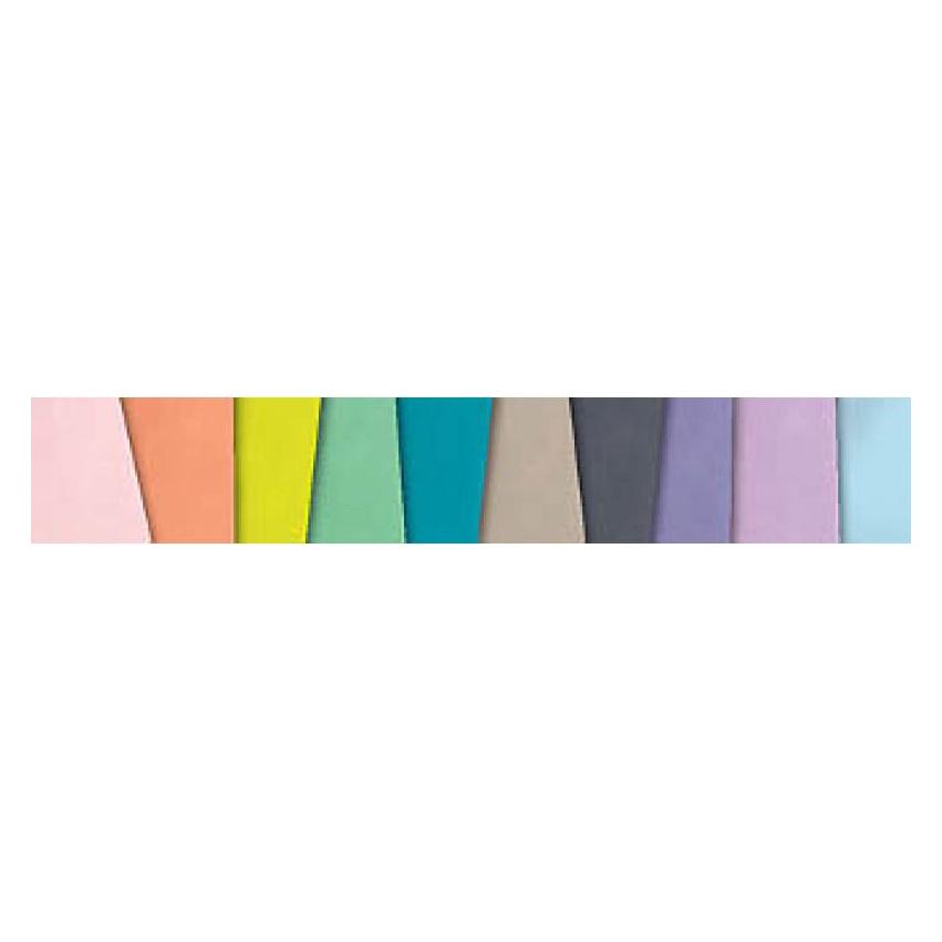 Folia Tragetaschen (10x) (21219/10)