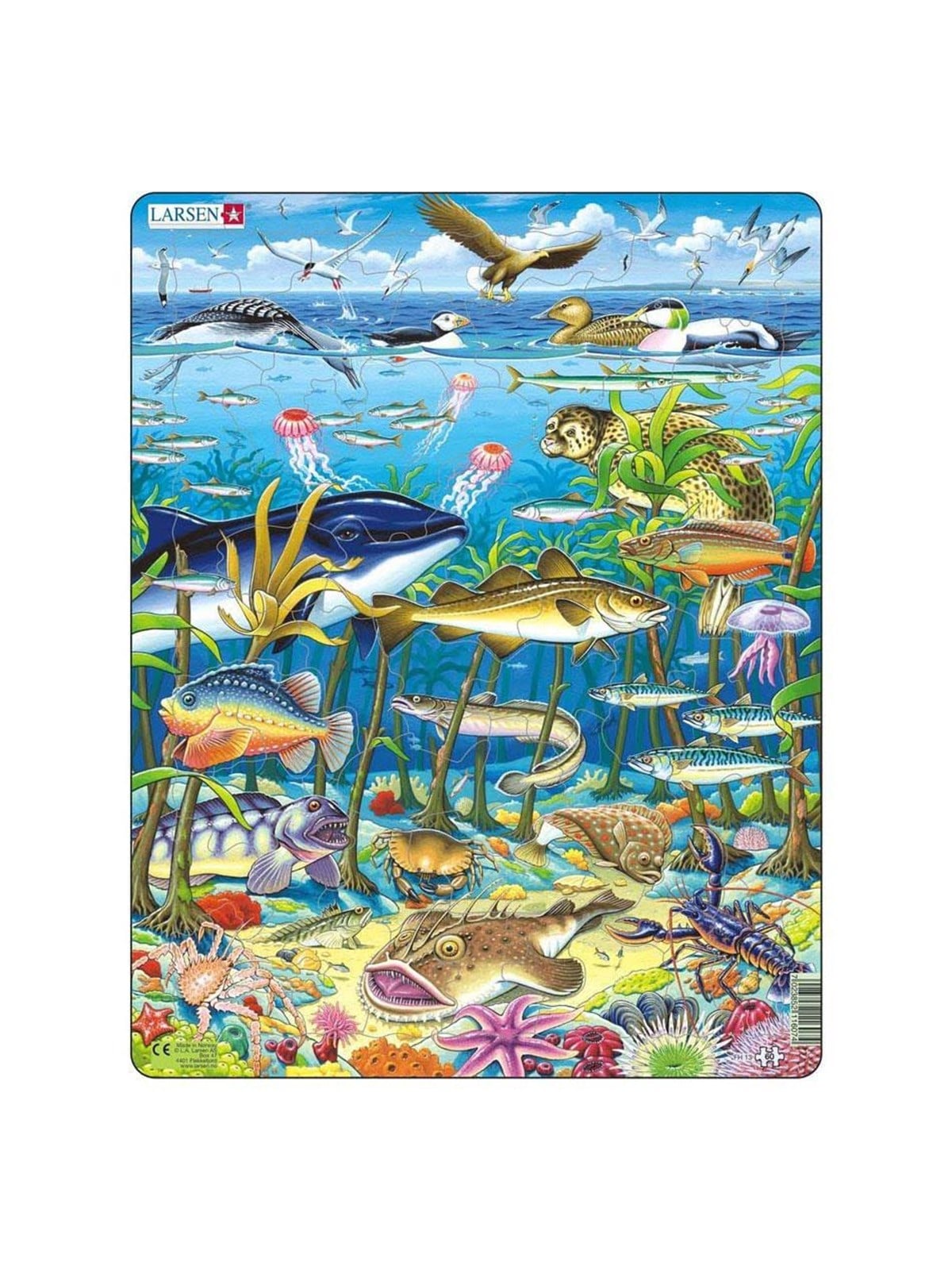 Larsen Puzzles Puzzle Leben im Meer im Nordatlantik - 60 Teile 2D Puzzles