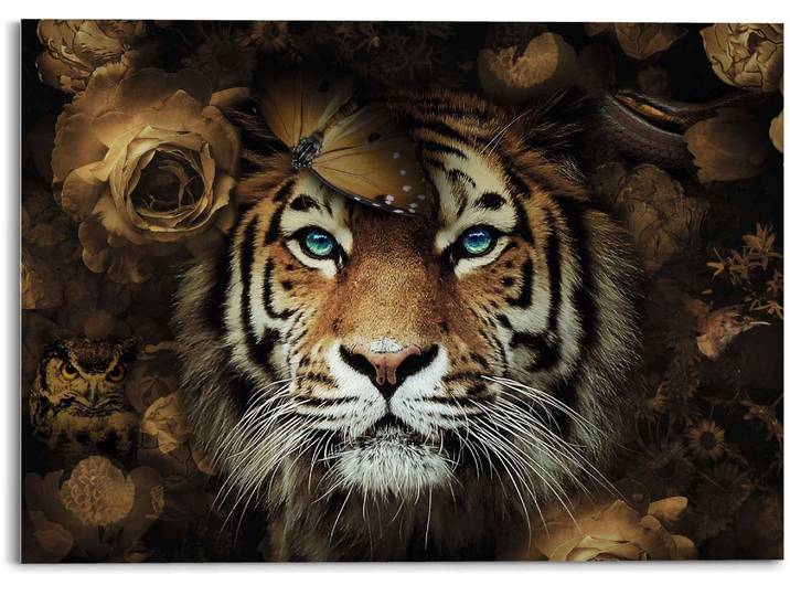 Glasbild REINDERS Glasbild Tiger Tierreich - Blumen - Herbstfarben - Blaue Augen , braun (farbe bild(er): braun), B:70cm H:50cm, Acrylglas, Bilder, Glasbild