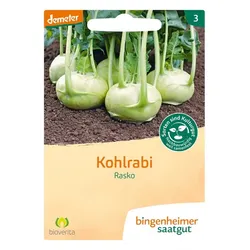 Kohlrabi - Rasko