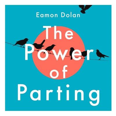 The Power of Parting - Eamon Dolan, Audio, 9781035023295