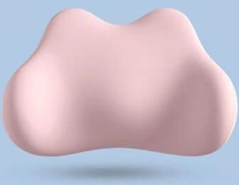 Healfit Counter Lumbar Support Bed Cushion, Ergonomic Lumbar Pillow, Sleeping Lumbar Pillow Cushion, Lumbar Protrusion Sleep Special cherry Blossom Powde