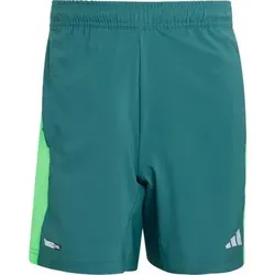 ADIDAS Herren Shorts Tech Apparel CLIMACOOL, Größe S in Blau Blau