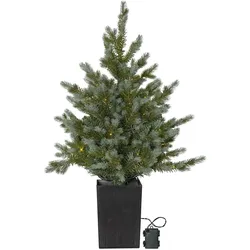 Star Trading, Weihnachtsbaum, Weihnachtsbaum (95 cm)