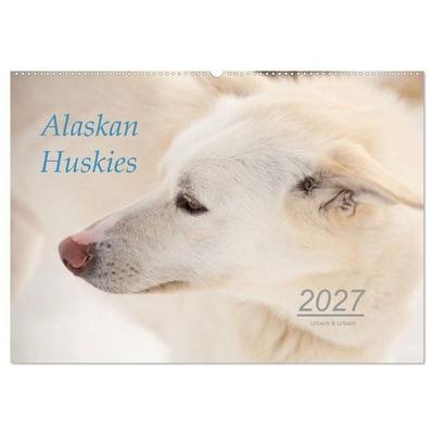 Alaskan Huskies (Wandkalender 2027 DIN A2 quer), CALVENDO Monatskalender