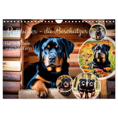 Rottweiler - die Beschützer (Wandkalender 2027 DIN A4 quer), CALVENDO Monatskalender