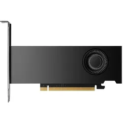 Nvidia RTX 2000 Ada (16 GB, GDDR6), Grafikkarte, Schwarz