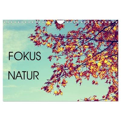 Focus Natur (Wandkalender 2027 DIN A4 quer), CALVENDO Monatskalender
