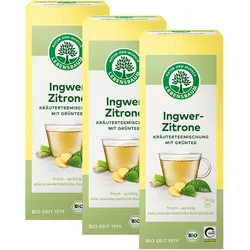 Lebensbaum Bio-Grüntee Ingwer Zitrone