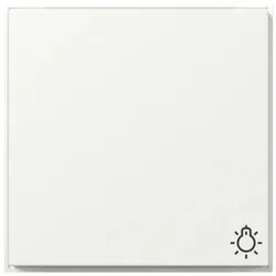 Gira Wippe Symb. Licht 328566