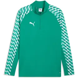 PUMA teamLIGA 26 1/4-Zip Trainings-Top Herren 05 - sport green/puma white/sport green S