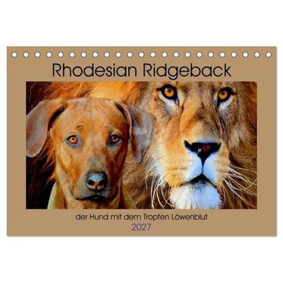 Rhodesian Ridgeback der Hund mit dem Tropfen Löwenblut (Tischkalender 2027 DIN A5 quer), CALVENDO Monatskalender