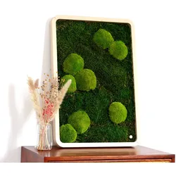 Moosbilder Green Oasis Nature - Islandmoos - light / S (20 x 30 cm)