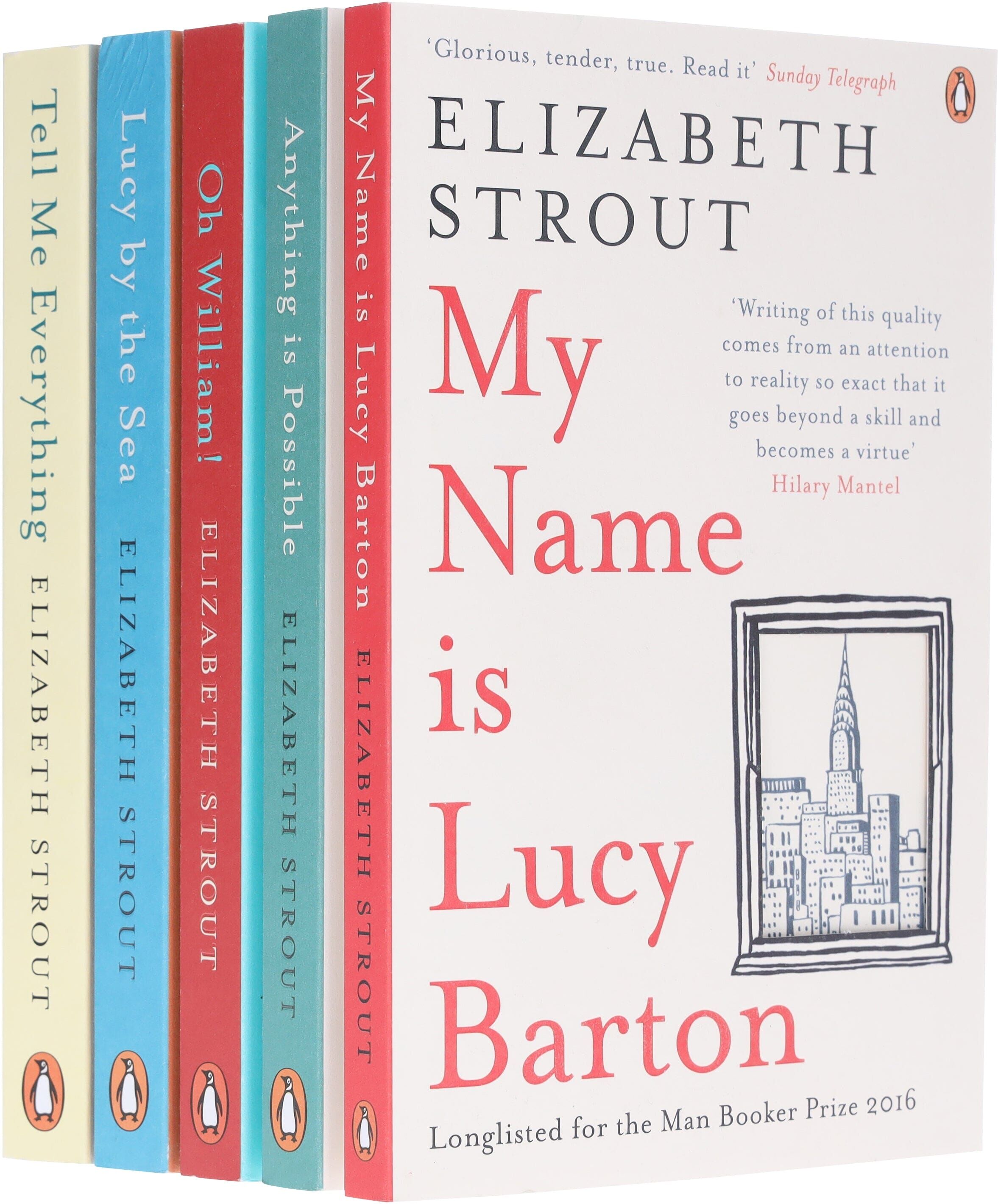 Amgash Series by Elizabeth Strout 5 Books Collection Set - Fiction - Paperback Penguin Random House