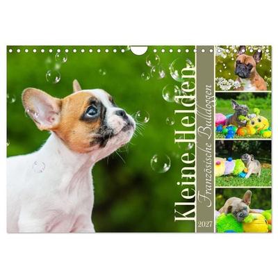 Kleine Helden - Französische Bulldoggen (Wandkalender 2027 DIN A4 quer), CALVENDO Monatskalender