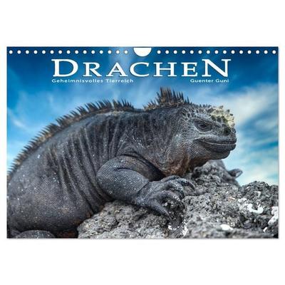 Drachen: Geheimnisvolles Tierreich (Wandkalender 2026 DIN A4 quer), CALVENDO Monatskalender