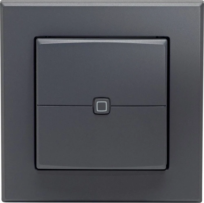Homematic IP Wandfernbedienung - 2 Tasten, Anthrazit - HmIP-WRC2-A-2